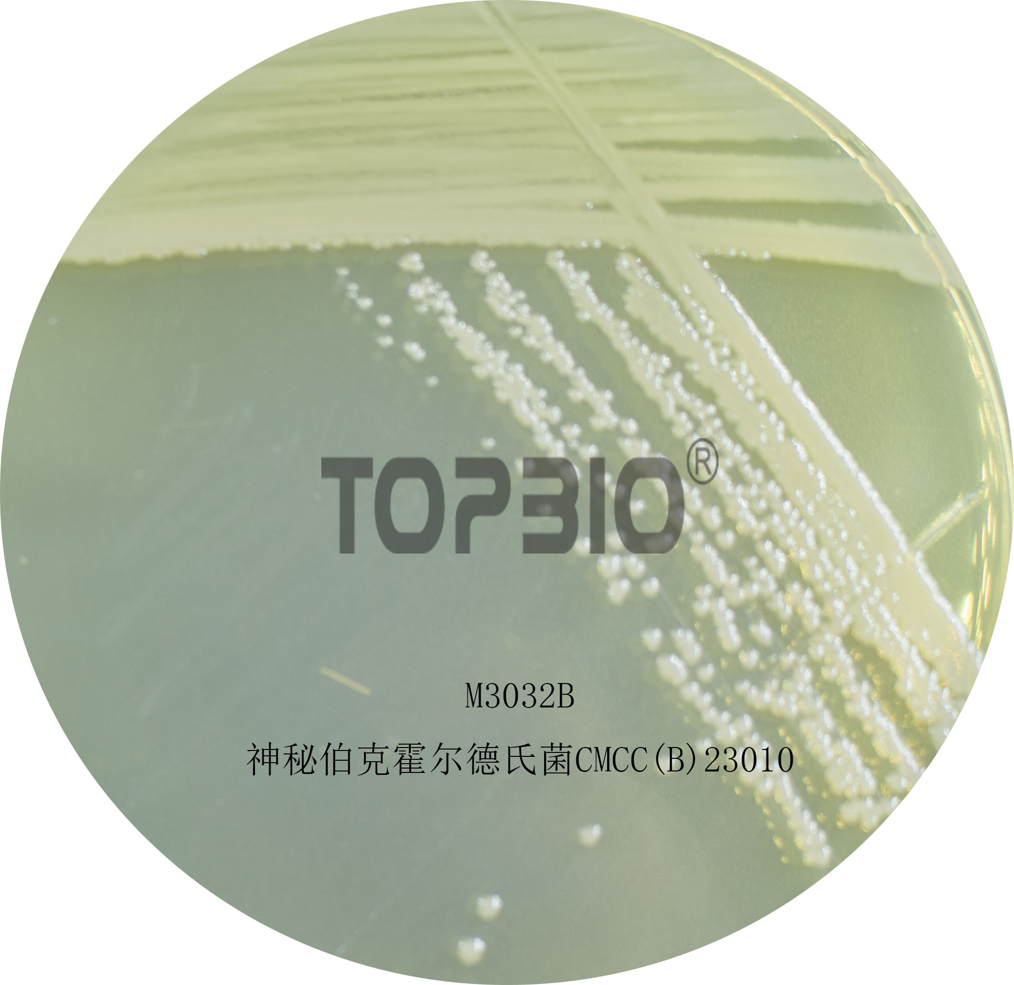 ���ز��˻������Ͼ�CMCC(B)23010��M3032�����B(y��ng)40-48h�ľ�������